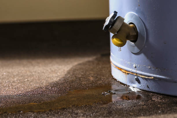 Best Water damage restoration insurance claims  in Lake Grove, NY