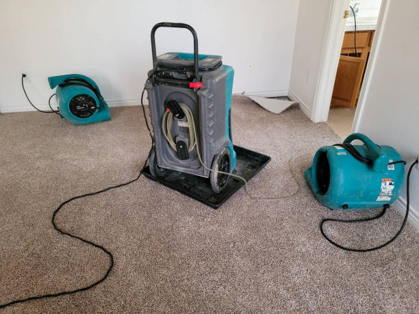 Best Flooded house restoration  in Lake Grove, NY