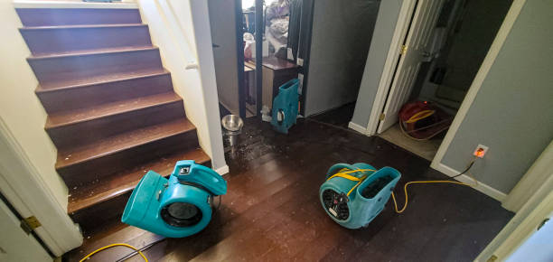Best Flooded house restoration  in Lake Grove, NY