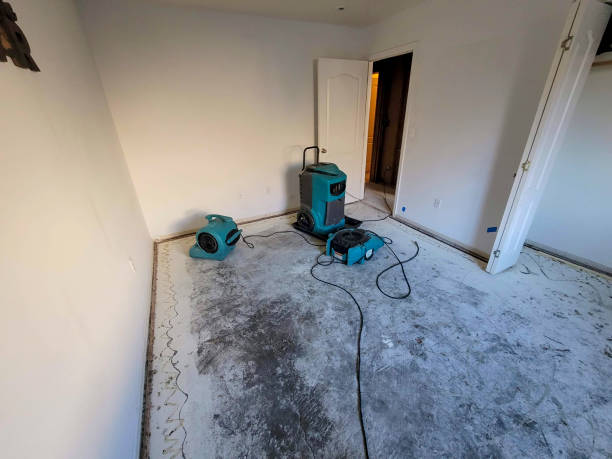 Best 24-hour water damage restoration  in Lake Grove, NY