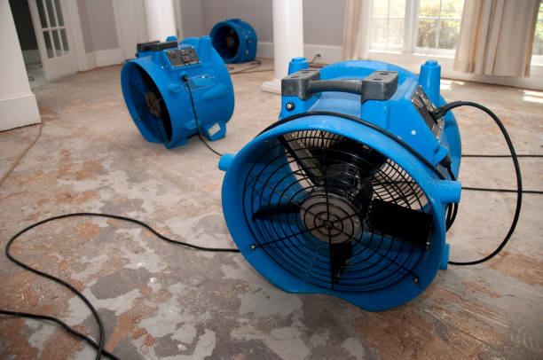 Best Emergency water damage restoration  in Lake Grove, NY