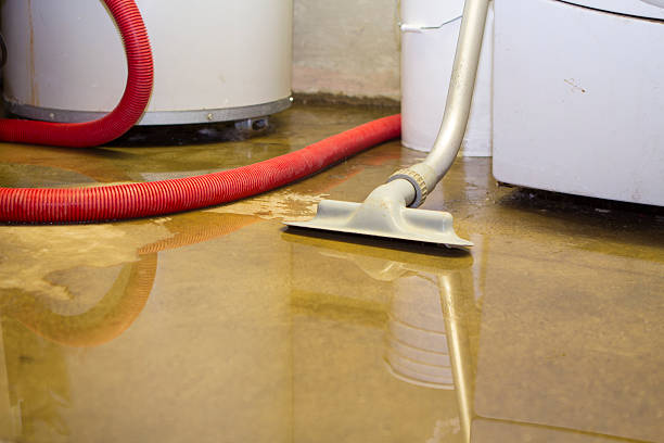 Best Water damage restoration near me  in Lake Grove, NY