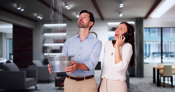 Best Water damage restoration near me  in Lake Grove, NY